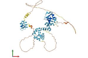 AlphaFold protein structure predicition of Human Recombinant RAD23B Protein, UniprotID P54727