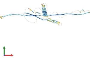 AlphaFold protein structure predicition of Human Recombinant RRBP1 Protein, UniprotID Q9P2E9