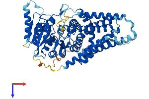 AlphaFold protein structure predicition of Mouse Recombinant Has3 Protein, UniprotID O08650