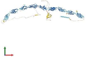 AlphaFold protein structure predicition of Human Recombinant FNDC3A Protein, UniprotID Q9Y2H6