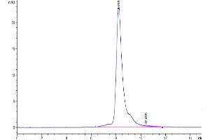 The purity of Human Complement factor I is greater than 95 % as determined by SEC-HPLC. (Complement Factor I Protein (CFI) (AA 19-583) (His tag))