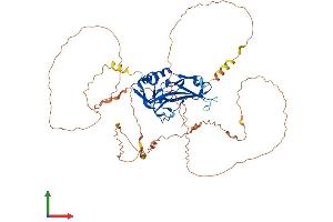 AlphaFold protein structure predicition of Mouse Recombinant Tbx4 Protein, UniprotID P70325