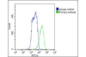 Overlay histogram showing HepG2 cells stained with A(green line).