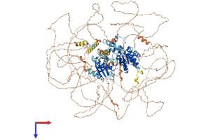AlphaFold protein structure predicition of Mouse Recombinant Ssh2 Protein, UniprotID Q5SW75
