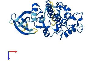 AlphaFold protein structure predicition of Human Recombinant CDK5 Protein, UniprotID Q00535