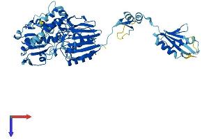 AlphaFold protein structure predicition of Mouse Recombinant Ints11 Protein, UniprotID Q9CWS4