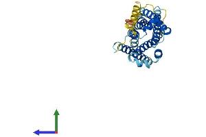 AlphaFold protein structure predicition of Mouse Recombinant Mrgprx1 Protein, UniprotID Q8CIP3