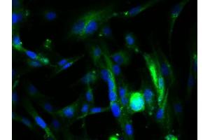 Image provided by One World Lab validation program.