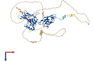 AlphaFold protein structure predicition of Human Recombinant RELB Protein, UniprotID Q01201
