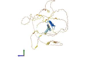 AlphaFold protein structure predicition of Mouse Recombinant Irx3 Protein, UniprotID P81067