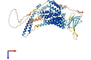 AlphaFold protein structure predicition of Human Recombinant OCA2 Protein, UniprotID Q04671