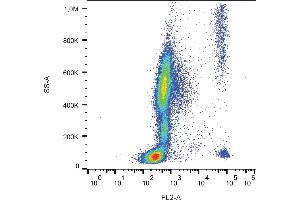Flow cytometry analysis (surface staining) of CD193 in human peripheral blood with anti-human CD193 (5E8) PE. (CCR3 anticorps  (PE))