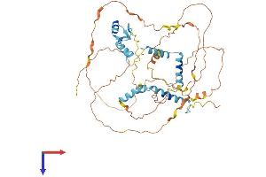 AlphaFold protein structure predicition of Human Recombinant NUFIP1 Protein, UniprotID Q9UHK0