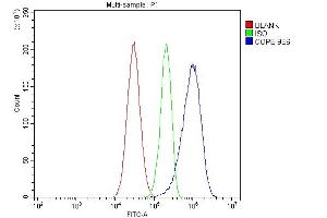 Flow Cytometry analysis of HepG2 cells using anti-COPE antibody (ABIN7602509). (COPE anticorps  (AA 80-308))