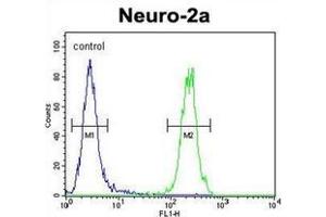 Flow cytometric analysis of Neuro-2a cells using MAF1 Antibody (Center) Cat. (MAF1 anticorps  (Middle Region))