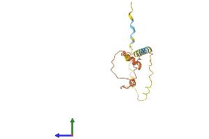 AlphaFold protein structure predicition of Human Recombinant SERTAD4-AS1 Protein, UniprotID Q5TG53