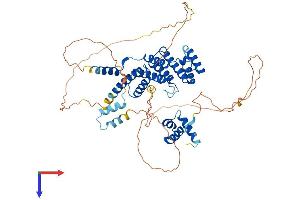 AlphaFold protein structure predicition of Human Recombinant TERF2 Protein, UniprotID Q15554