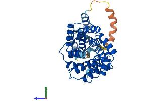 AlphaFold protein structure predicition of Mouse Recombinant Lrp2bp Protein, UniprotID Q9D4C6