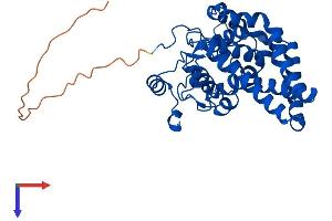 AlphaFold protein structure predicition of Mouse Recombinant Scd1 Protein, UniprotID P13516