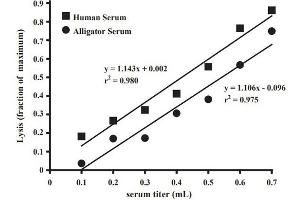 Krogh plot: Concentration-dependent lysis of sheep red blood cells (SRBCs) [p/n R405-0050] by alligator and human serum.