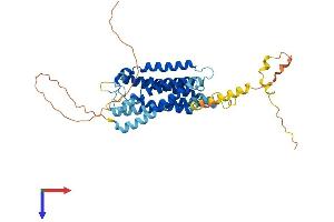 G Protein-Coupled Receptor 19 (GPR19) (AA 1-415) protein (His tag)