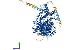 AlphaFold protein structure predicition of Mouse Recombinant Galnt18 Protein, UniprotID Q8K1B9