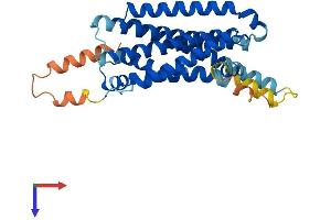 AlphaFold protein structure predicition of Mouse Recombinant Mc5r Protein, UniprotID P41149