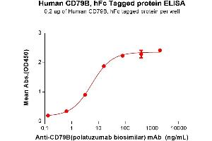 ELISA plate pre-coated by 2 μg/mL (100 μL/well) Human CD79B Protein, hFc Tag (ABIN6964398, ABIN7042853 and ABIN7042854) can bind Anti-CD79B(polatuzumab biosimilar) mAb ((ABIN7538759)) in a linear range of 0.