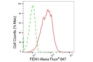 Flow cytometric analysis of FEN1 expression in HepG2 cells using FEN1 antibody (ABIN7798627), 1:2,000). (Recombinant FEN1 anticorps)
