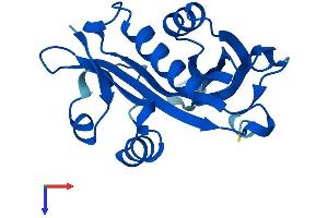 AlphaFold protein structure predicition of Human Recombinant NAA20 Protein, UniprotID P61599