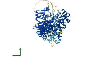 AlphaFold protein structure predicition of Human Recombinant THNSL1 Protein, UniprotID Q8IYQ7