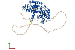 AlphaFold protein structure predicition of Mouse Recombinant Ccnj Protein, UniprotID Q3TZI6