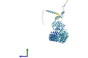 AlphaFold protein structure predicition of Mouse Recombinant Crnkl1 Protein, UniprotID P63154