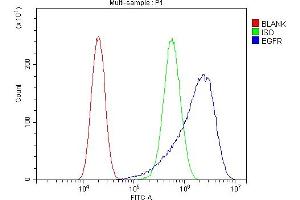 Flow Cytometry analysis of A549 cells using anti-EGFR antibody (ABIN7599622). (EGFR anticorps  (AA 1006-1210))