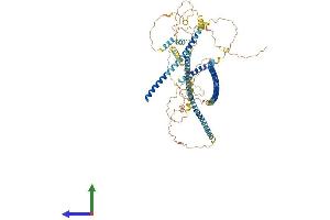 AlphaFold protein structure predicition of Human Recombinant CALD1 Protein, UniprotID Q05682