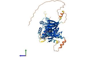 AlphaFold protein structure predicition of Human Recombinant CERKL Protein, UniprotID Q49MI3