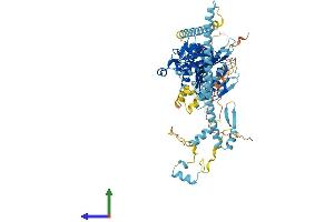 AlphaFold protein structure predicition of Human Recombinant KIF3B Protein, UniprotID O15066