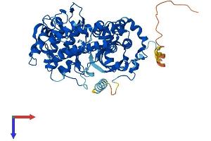 AlphaFold protein structure predicition of Human Recombinant GRK6 Protein, UniprotID P43250