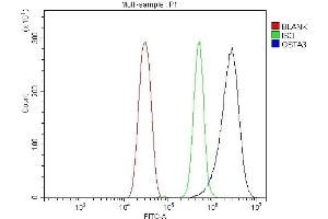 Flow Cytometry analysis of HEPA1-6 cells using anti-Gsta3 antibody (ABIN7603173). (GSTA3 anticorps  (N-Term))