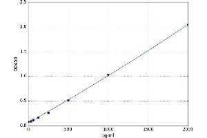 Lymphocyte Antigen 75 (LY75) ELISA Kit