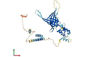 AlphaFold protein structure predicition of Human Recombinant FBXO9 Protein, UniprotID Q9UK97