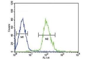 Beta III Tubulin antibody flow cytometric analysis of HepG2 cells (right histogram) compared to a negative control cell (left histogram).