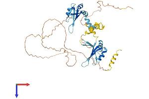 AlphaFold protein structure predicition of Human Recombinant RBM23 Protein, UniprotID Q86U06