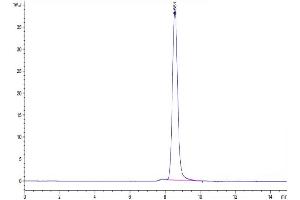 The purity of Human CD3E&CD3G is greater than 95 % as determined by SEC-HPLC. (CD3E & CD3G protein (His tag))