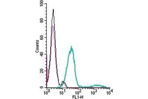 anti-Platelet-Activating Factor Receptor (PTAFR) (AA 259-274), (Extracellular) antibody (FITC)
