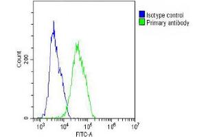 Overlay histogram showing MCF-7 cells stained with Antibody (green line). (CES2 anticorps  (AA 340-369))