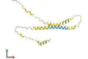 AlphaFold protein structure predicition of Human Recombinant C8orf44 Protein, UniprotID Q96CB5
