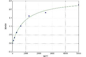 A typical standard curve