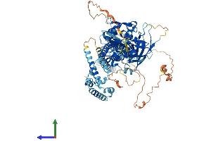 AlphaFold protein structure predicition of Human Recombinant STAT2 Protein, UniprotID P52630