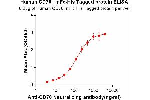 ELISA plate pre-coated by 2 μg/mL (100 μL/well) CD70,mFc-His tagged protein (ABIN6961112, ABIN7042253 and ABIN7042254) can bind Anti-CD70 Neutralizing antibody ([getskuurl sku